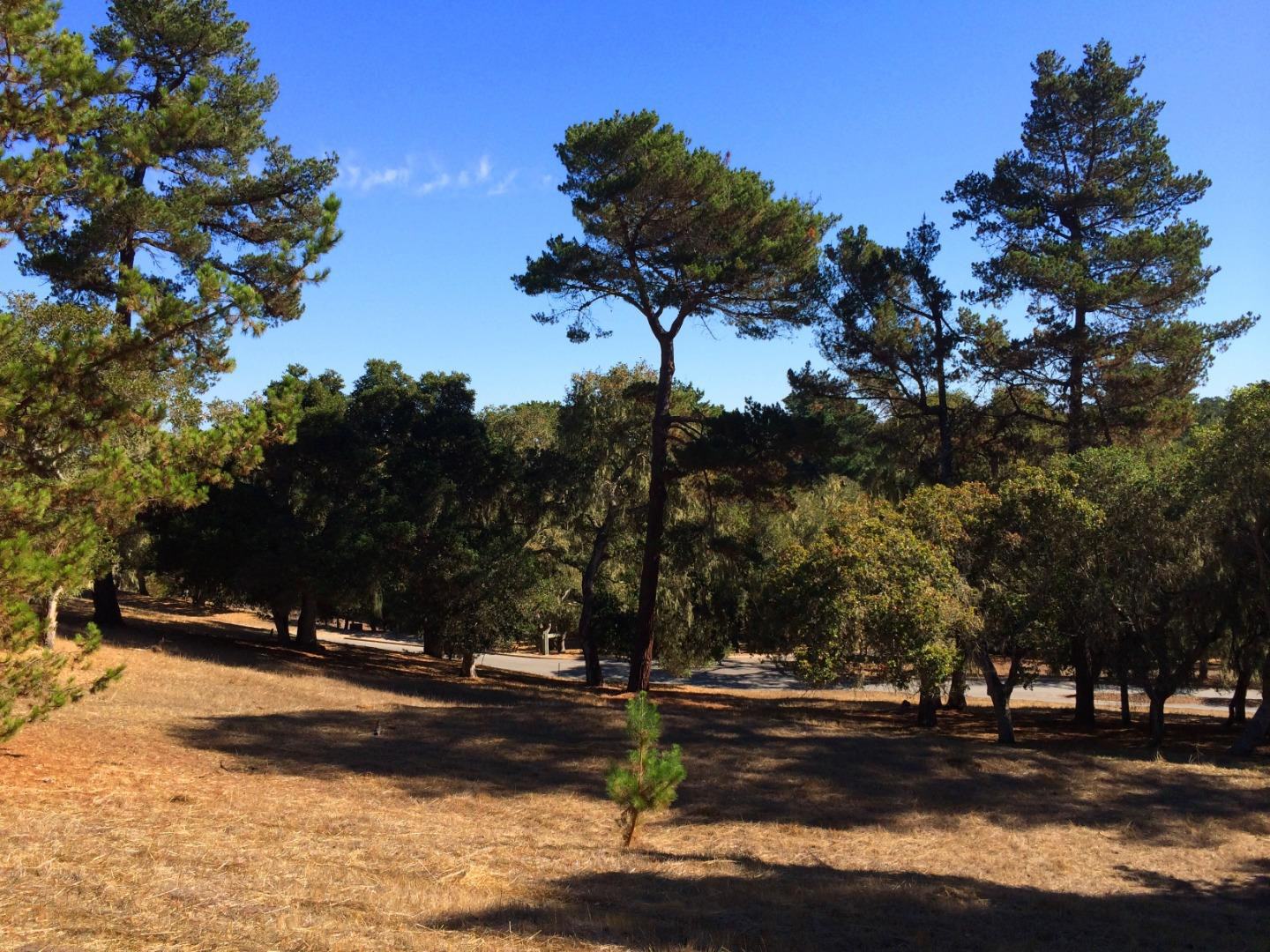 24262 Via Malpaso (Lot 28) photo #4