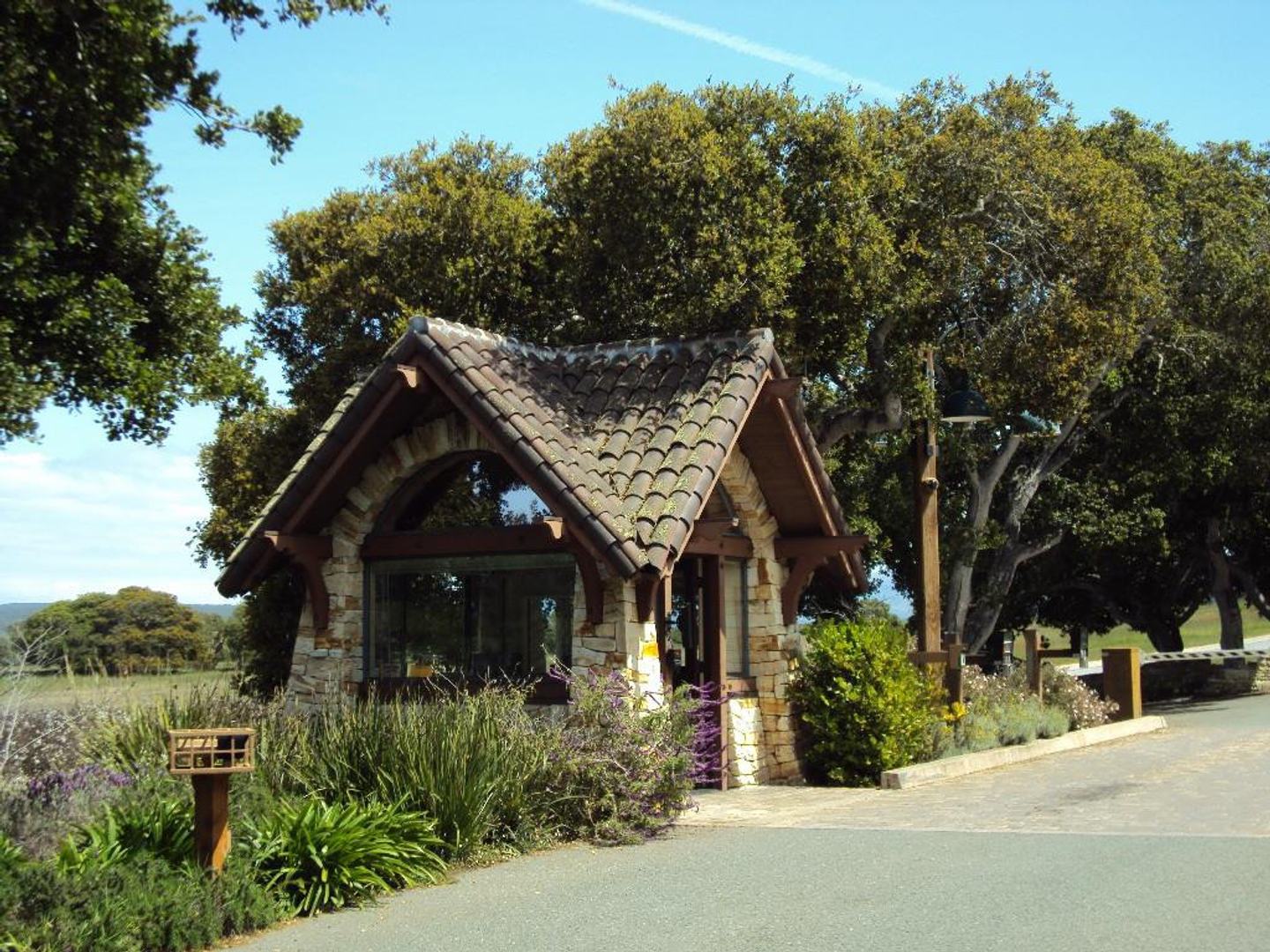 24262 Via Malpaso (Lot 28) photo #7
