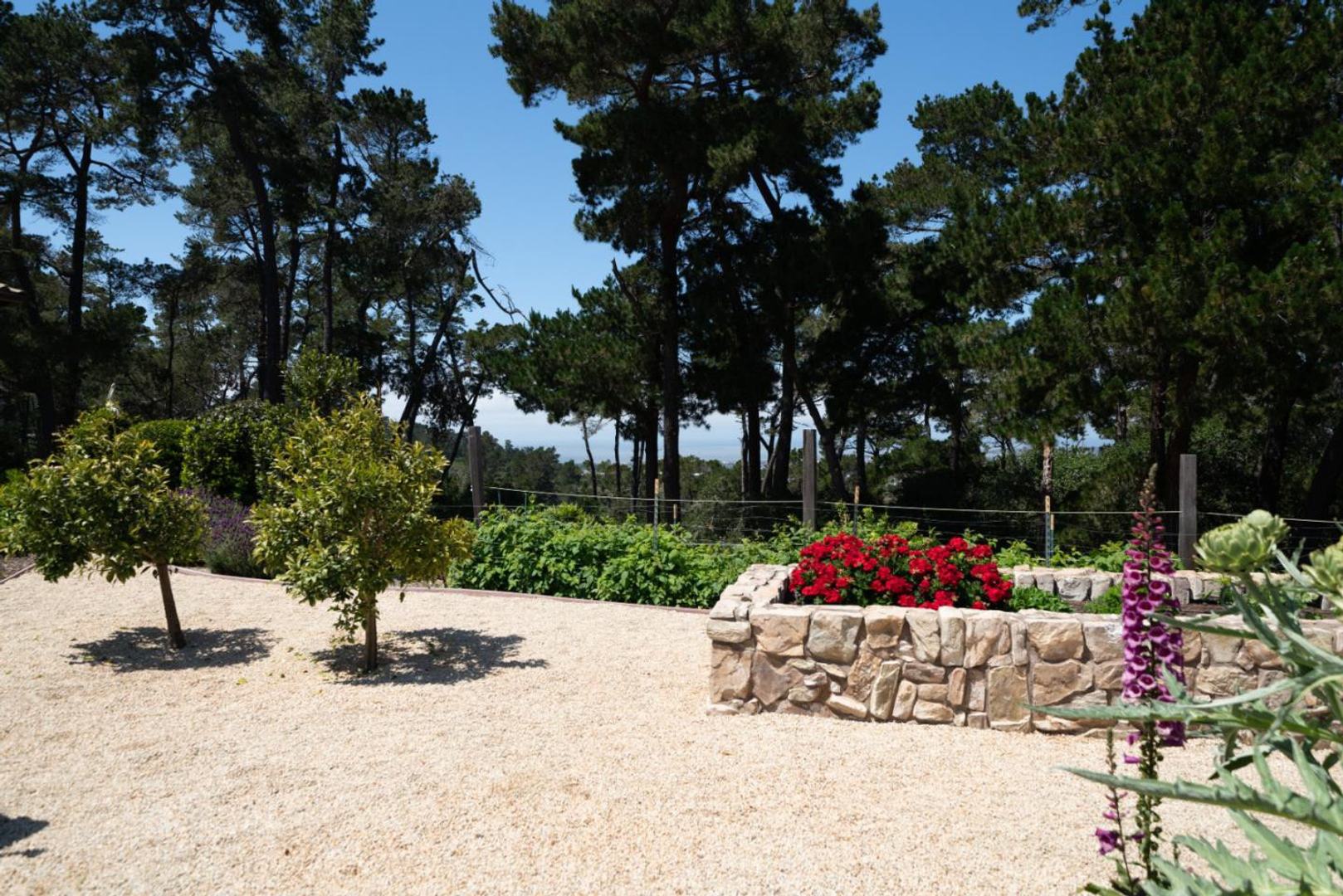 24319 Monterra Woods RD photo #36