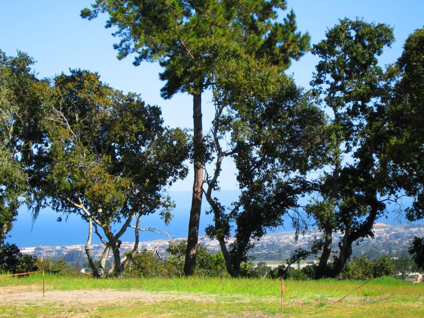 7870 Monterra Oaks (Lot 108) RD photo #1