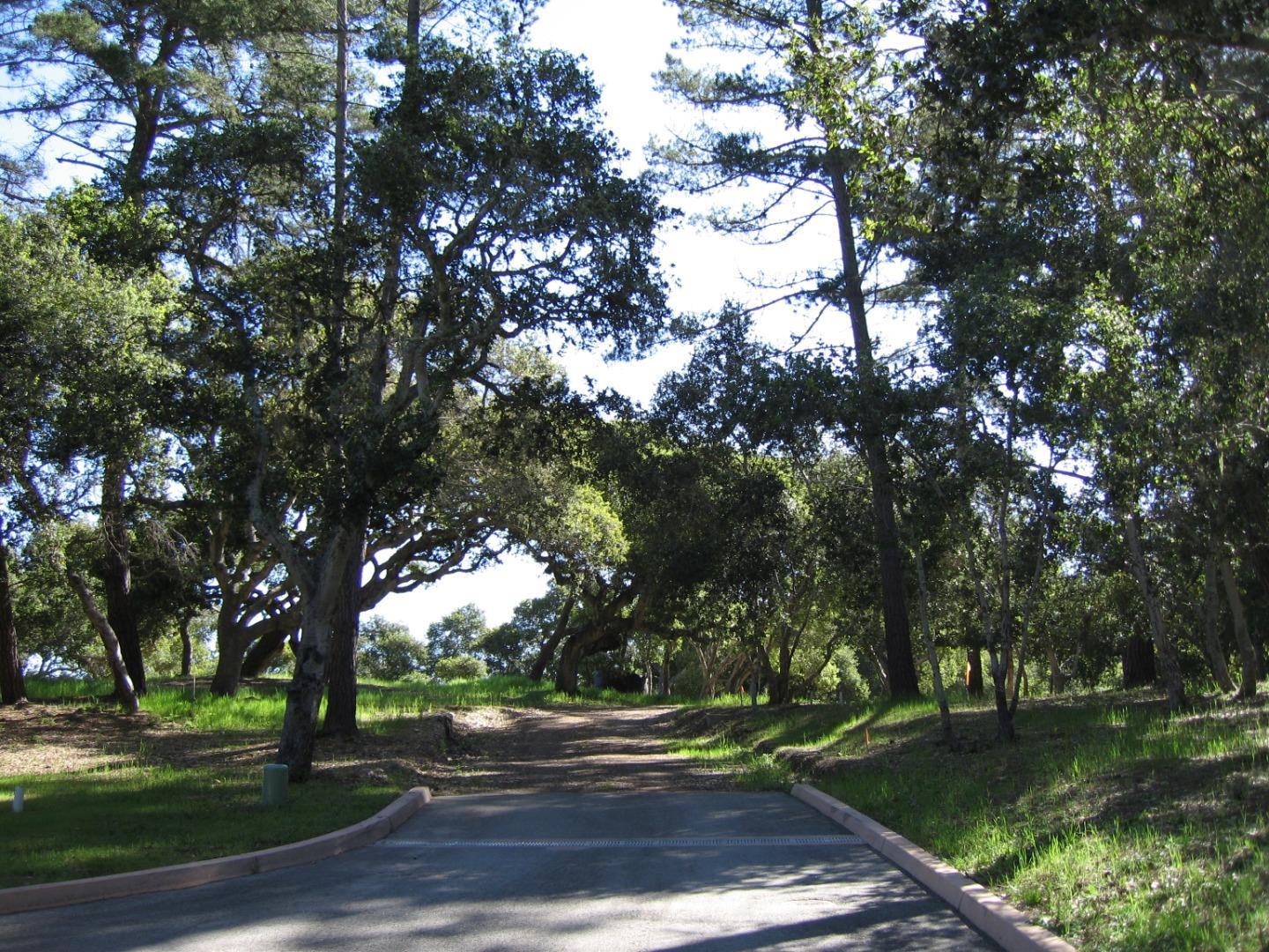 7870 Monterra Oaks (Lot 108) RD photo #2