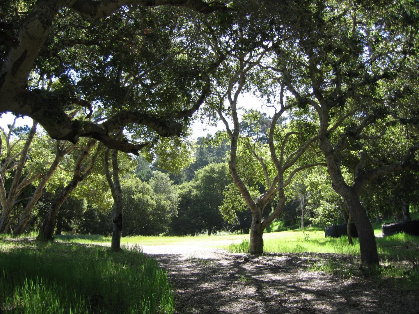 7870 Monterra Oaks (Lot 108) RD photo #3