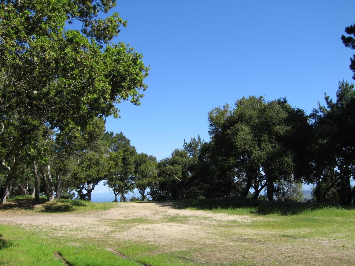 7870 Monterra Oaks (Lot 108) RD photo #4