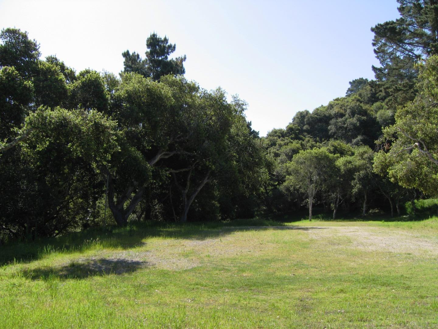 7870 Monterra Oaks (Lot 108) RD photo #6