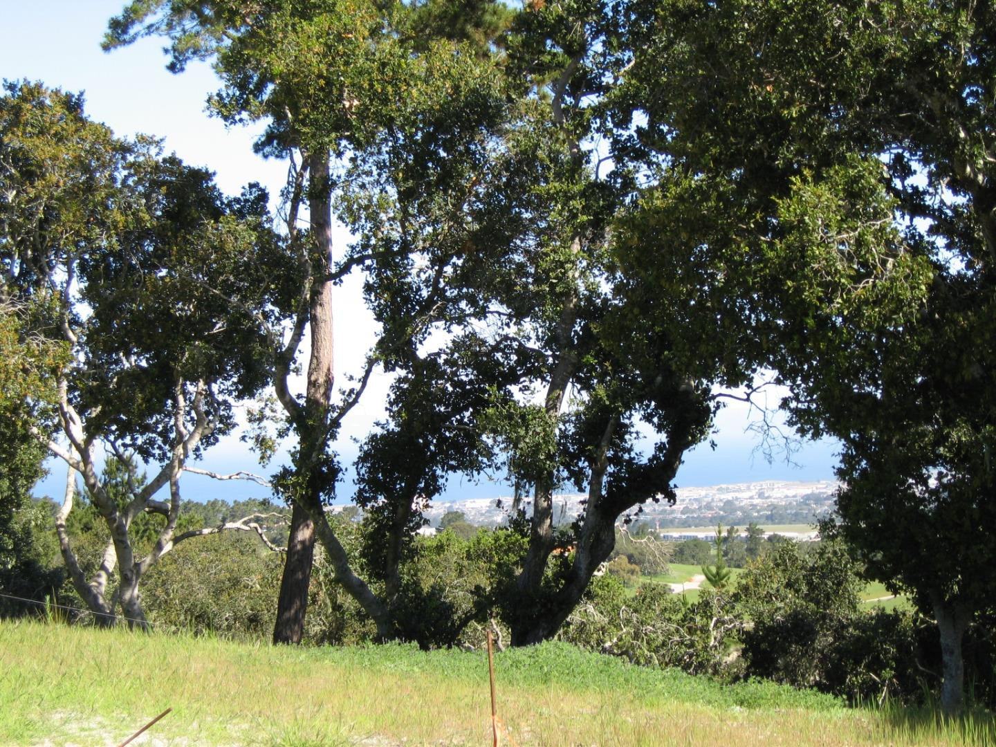 7870 Monterra Oaks (Lot 108) RD photo #8