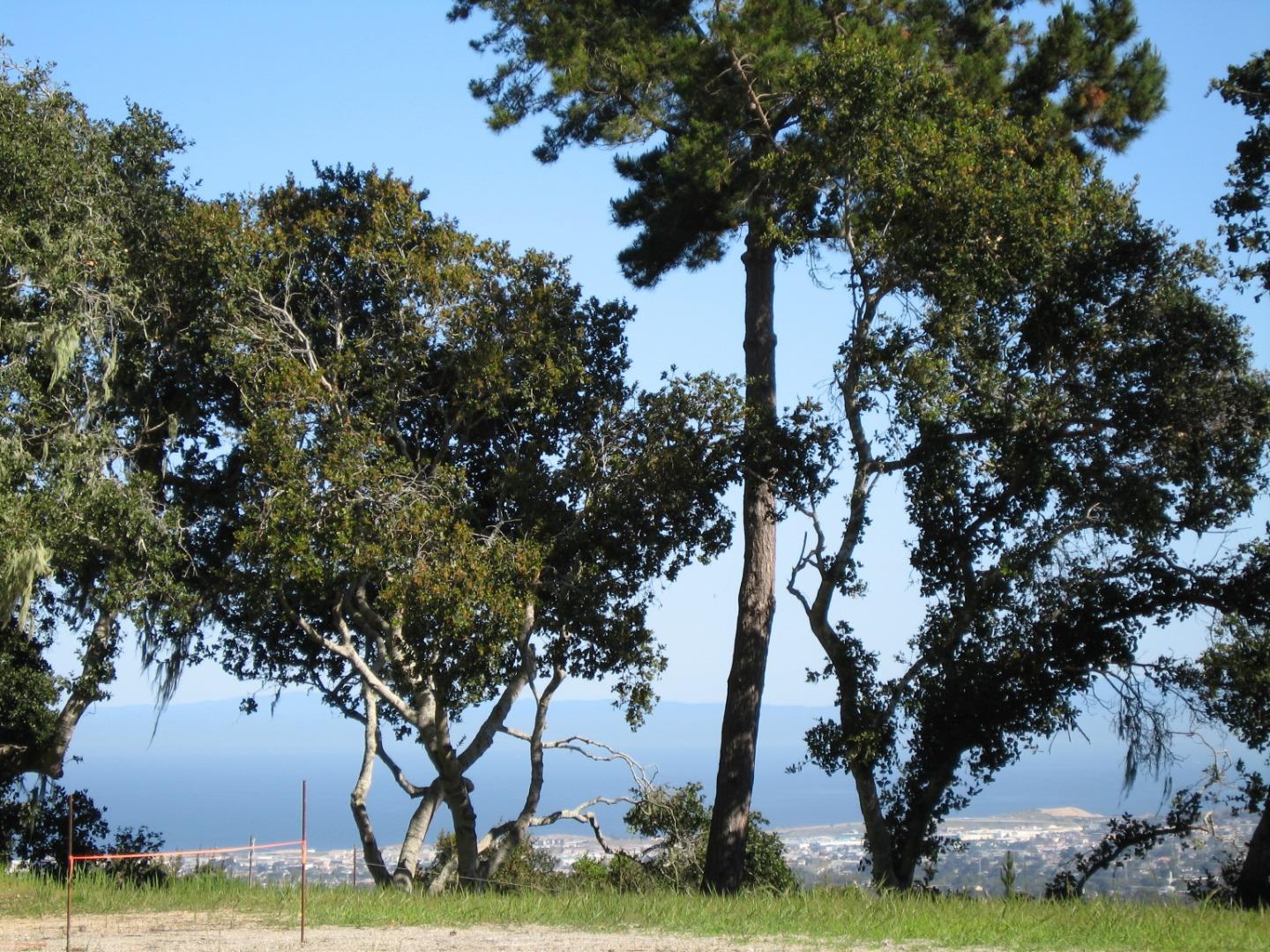 7870 Monterra Oaks (Lot 108) RD photo #9