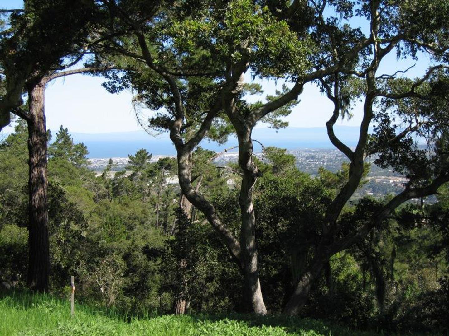 7870 Monterra Oaks (Lot 108) RD photo #10
