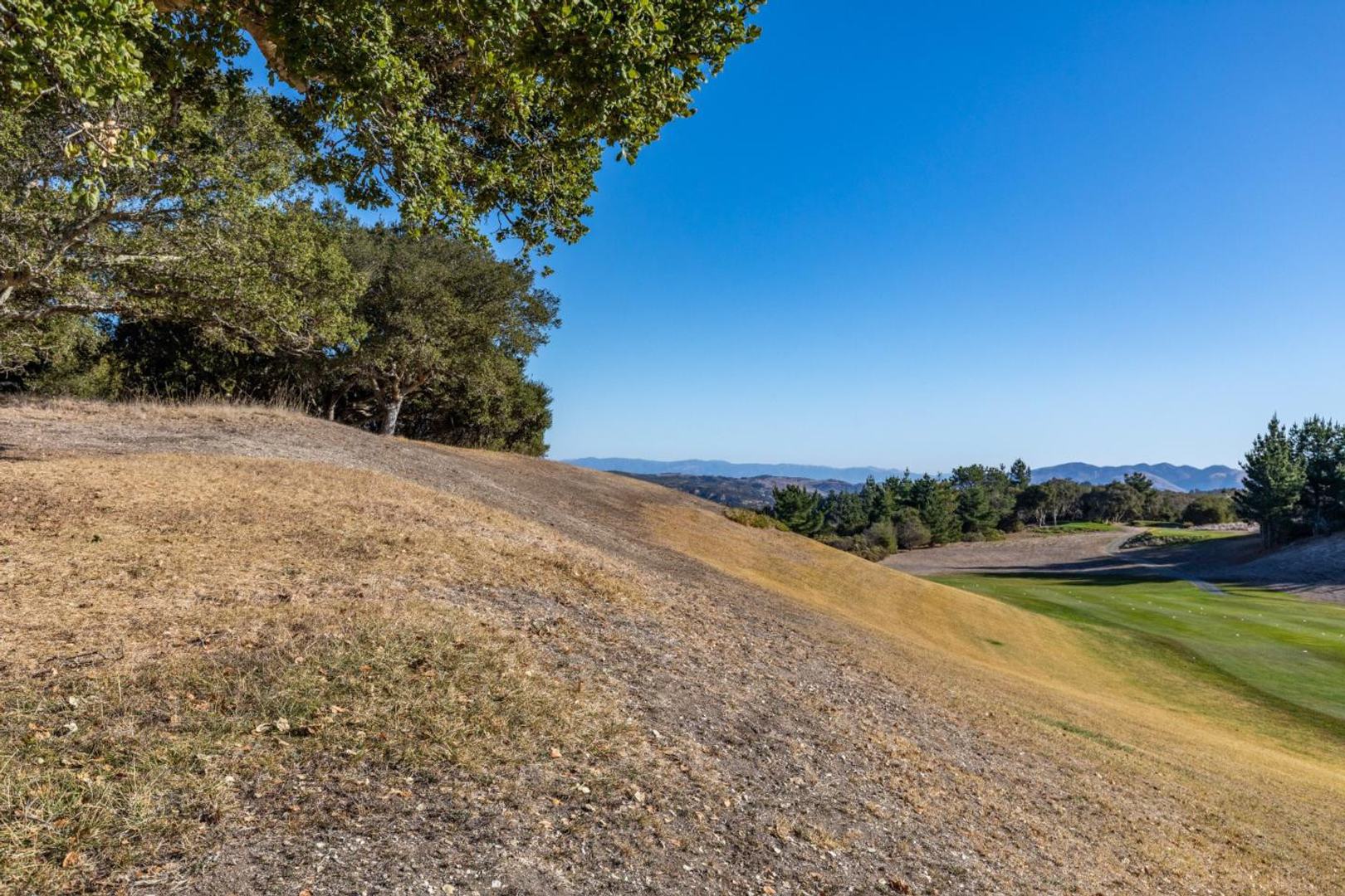 25520 Via Malpaso (Lot 92) photo #8