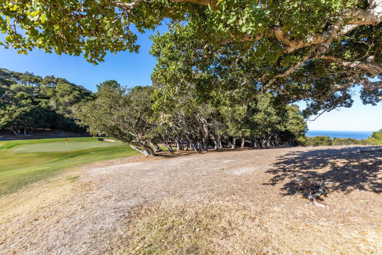 25520 Via Malpaso (Lot 92) photo #9