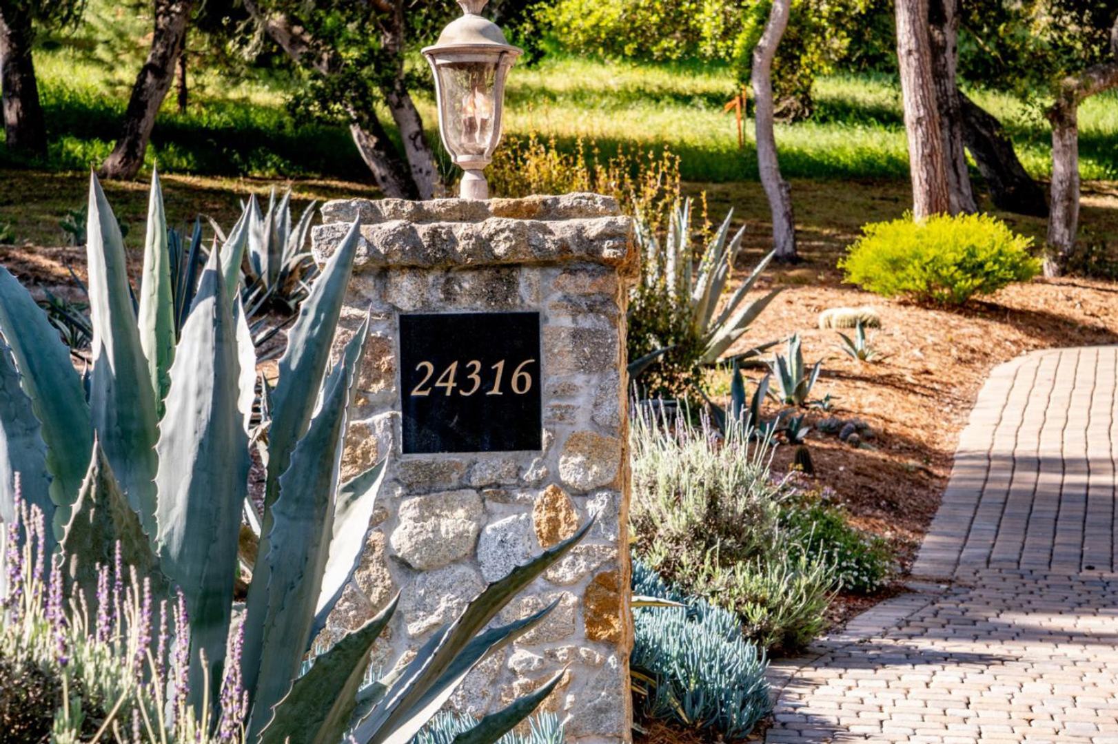 24316 Monterra Woods Road photo #2
