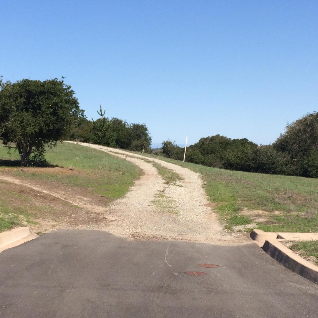 8390 Monterra Views (Lot 153) photo #2
