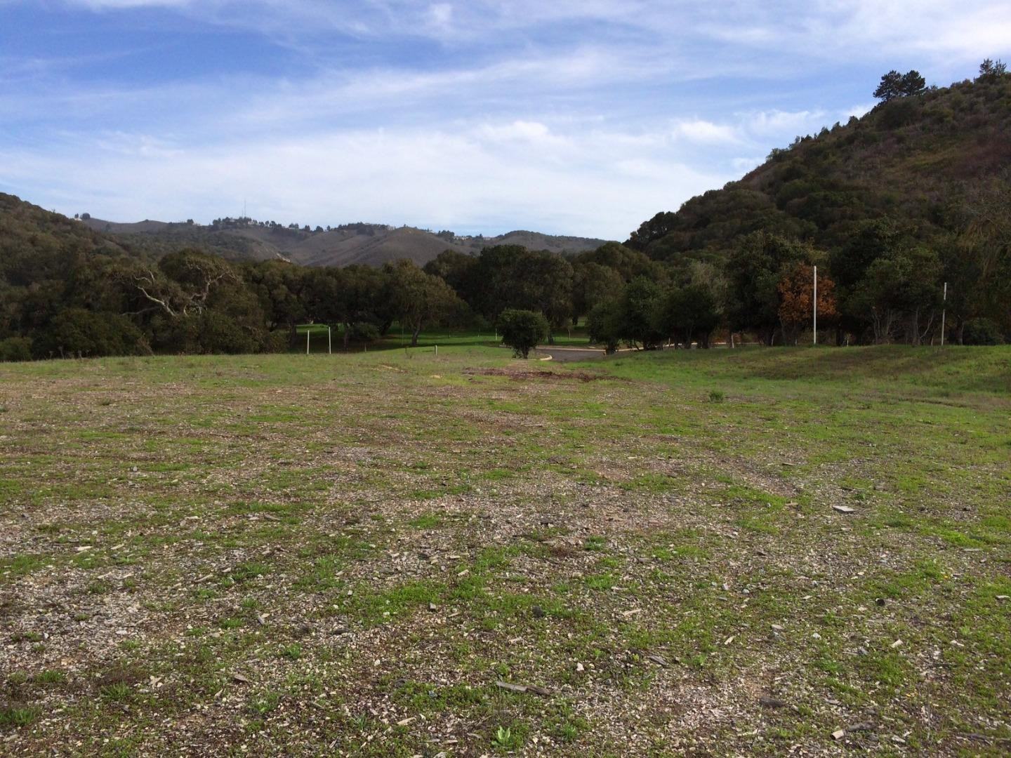 8390 Monterra Views (Lot 153) photo #4