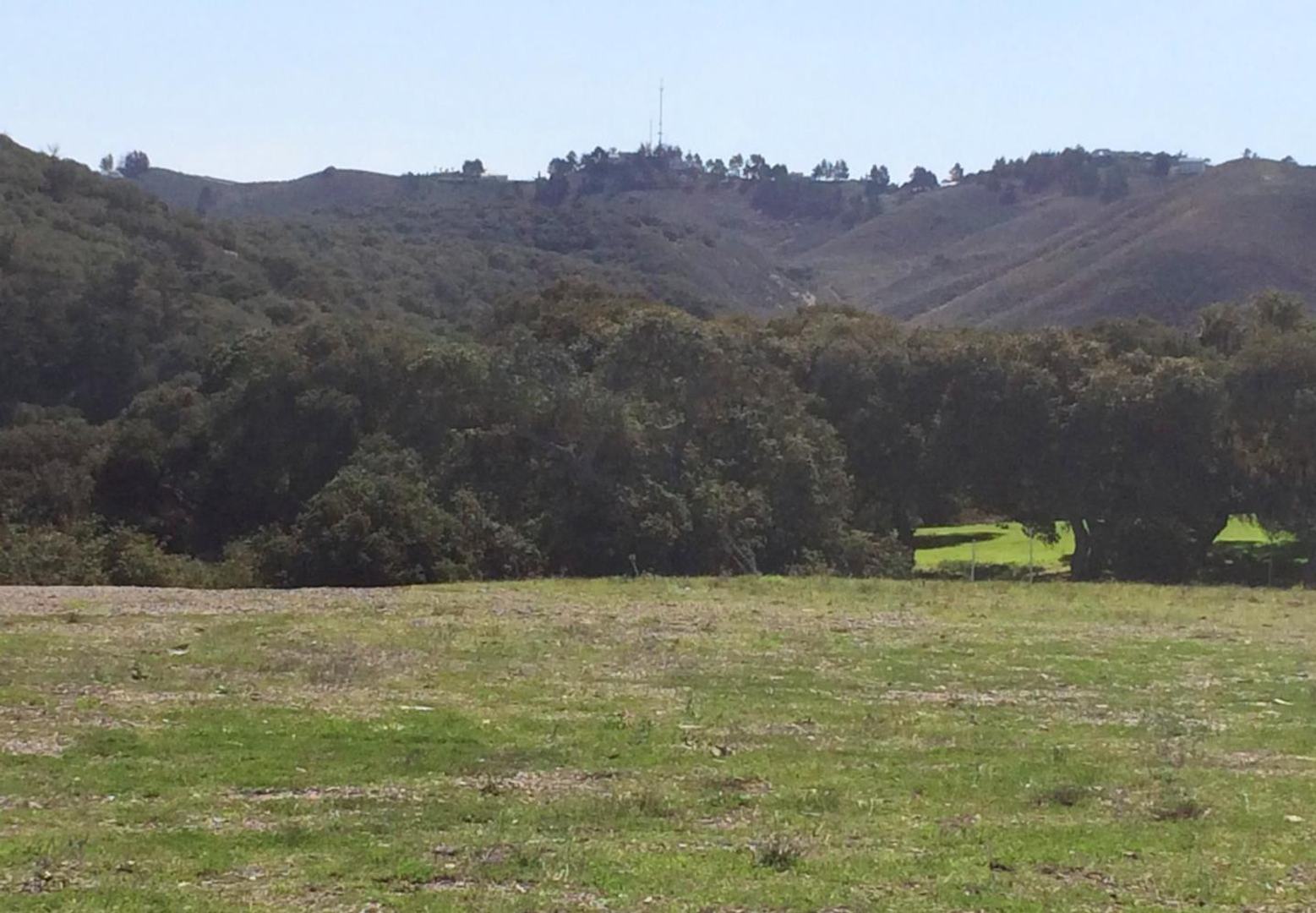 8390 Monterra Views (Lot 153) photo #5