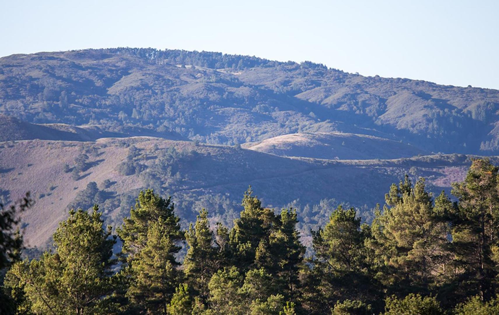 24 Tehama (Lot 10) photo #2