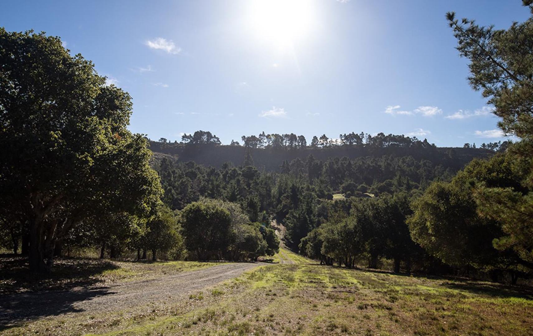 24 Tehama (Lot 10) photo #3