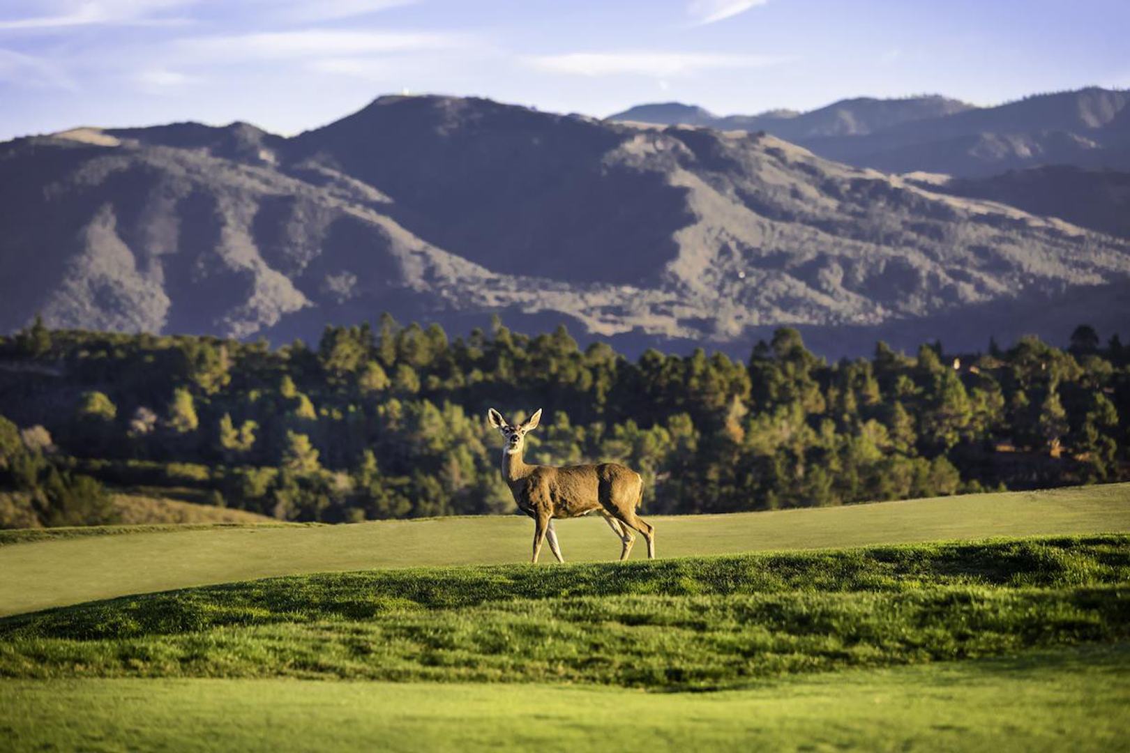 24 Tehama (Lot 10) photo #12