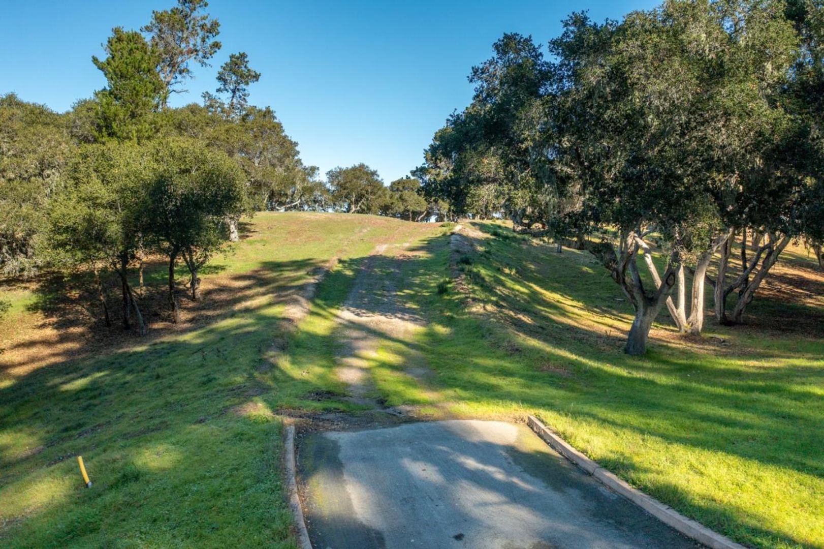 7745 Paseo Venado (Lot 83) photo #3