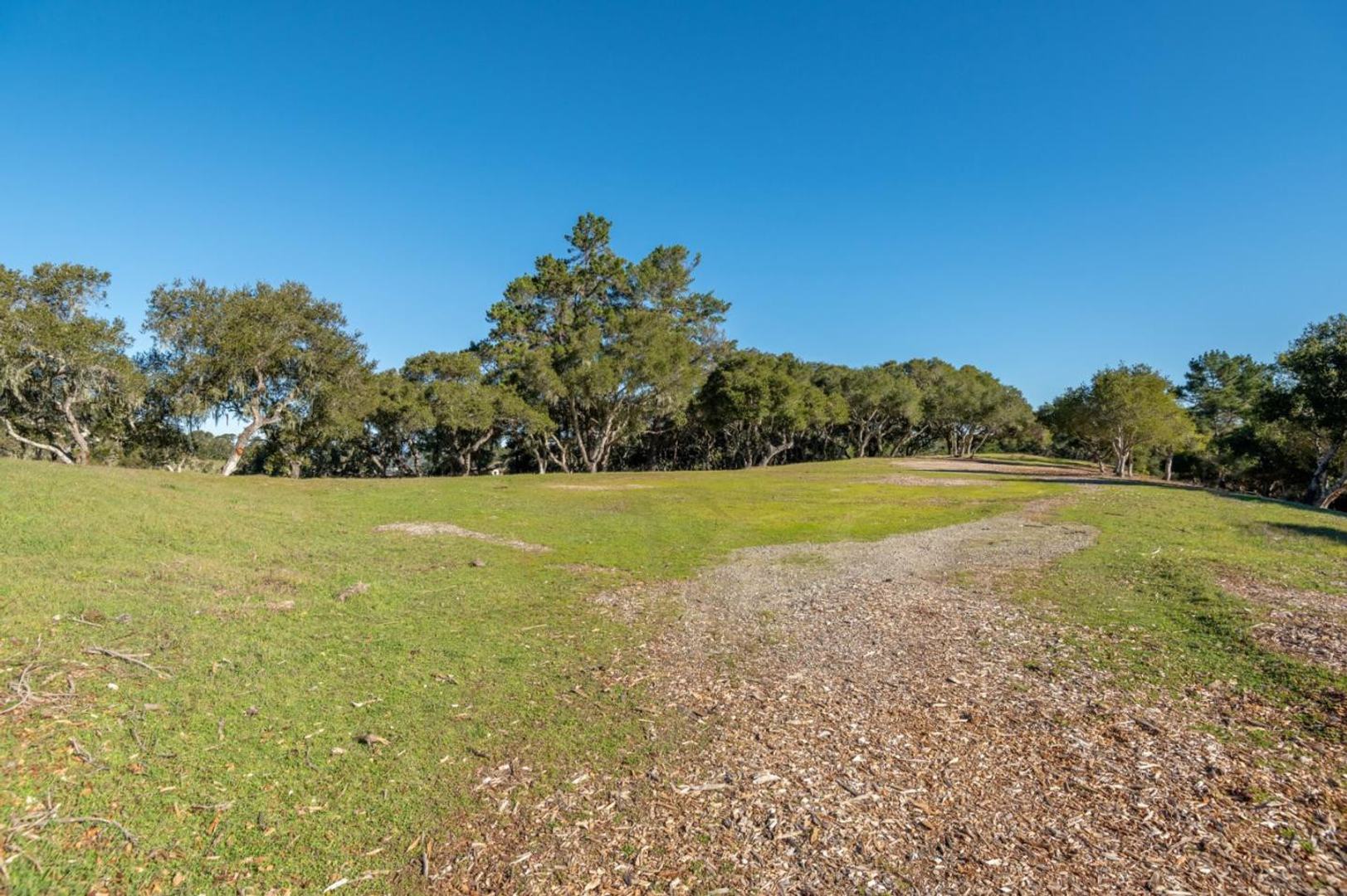 7745 Paseo Venado (Lot 83) photo #4
