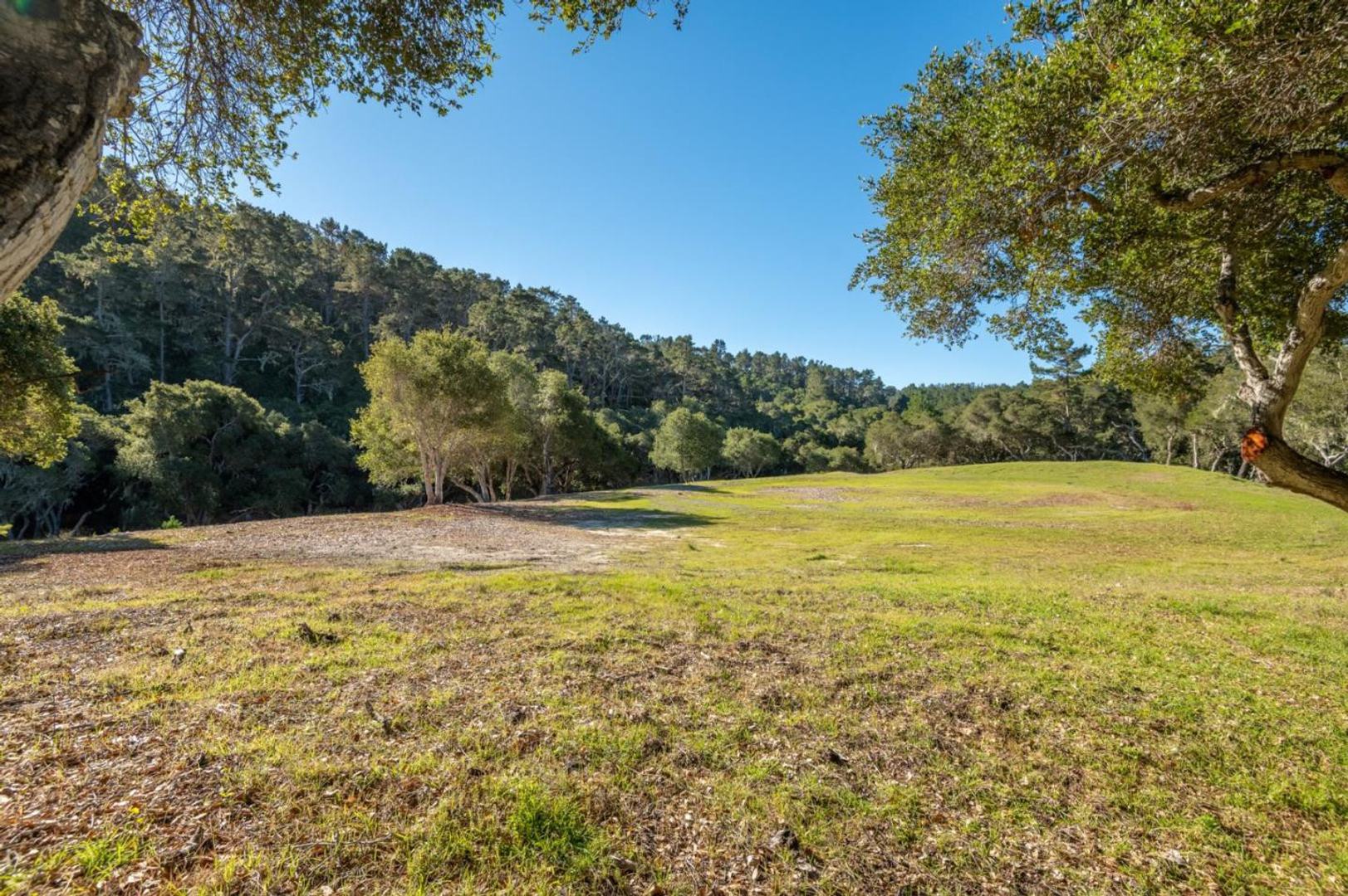 7745 Paseo Venado (Lot 83) photo #7