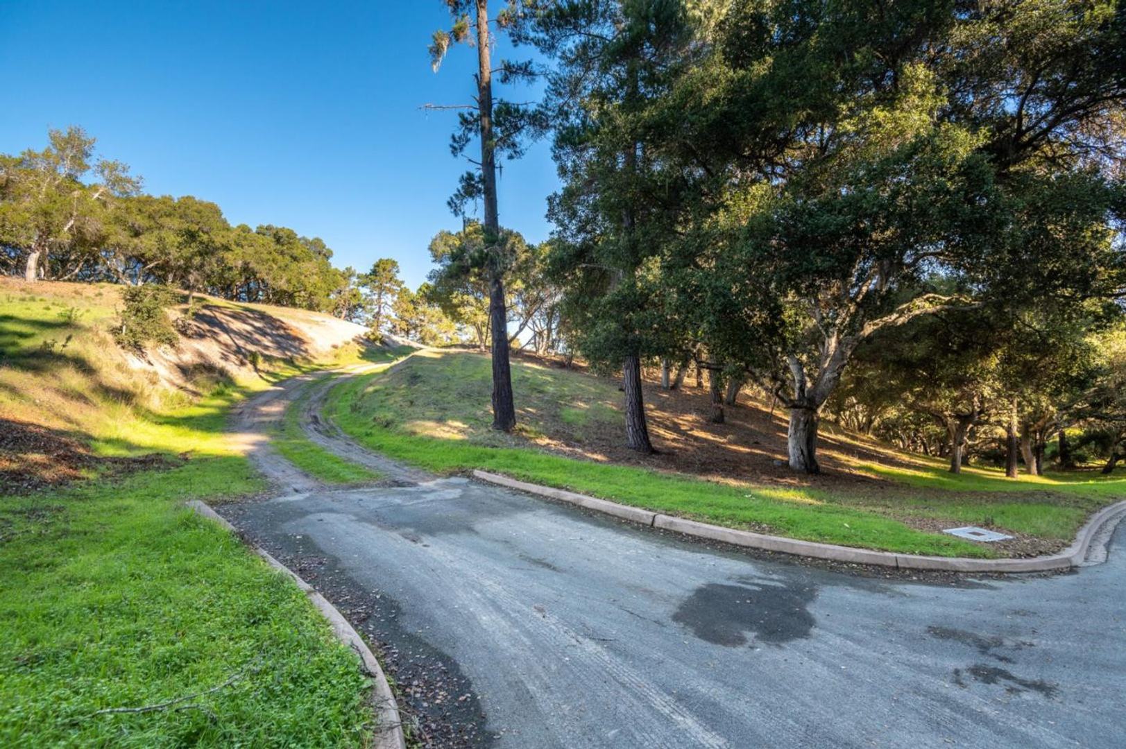 7755 Paseo Venado (Lot 84) photo #3