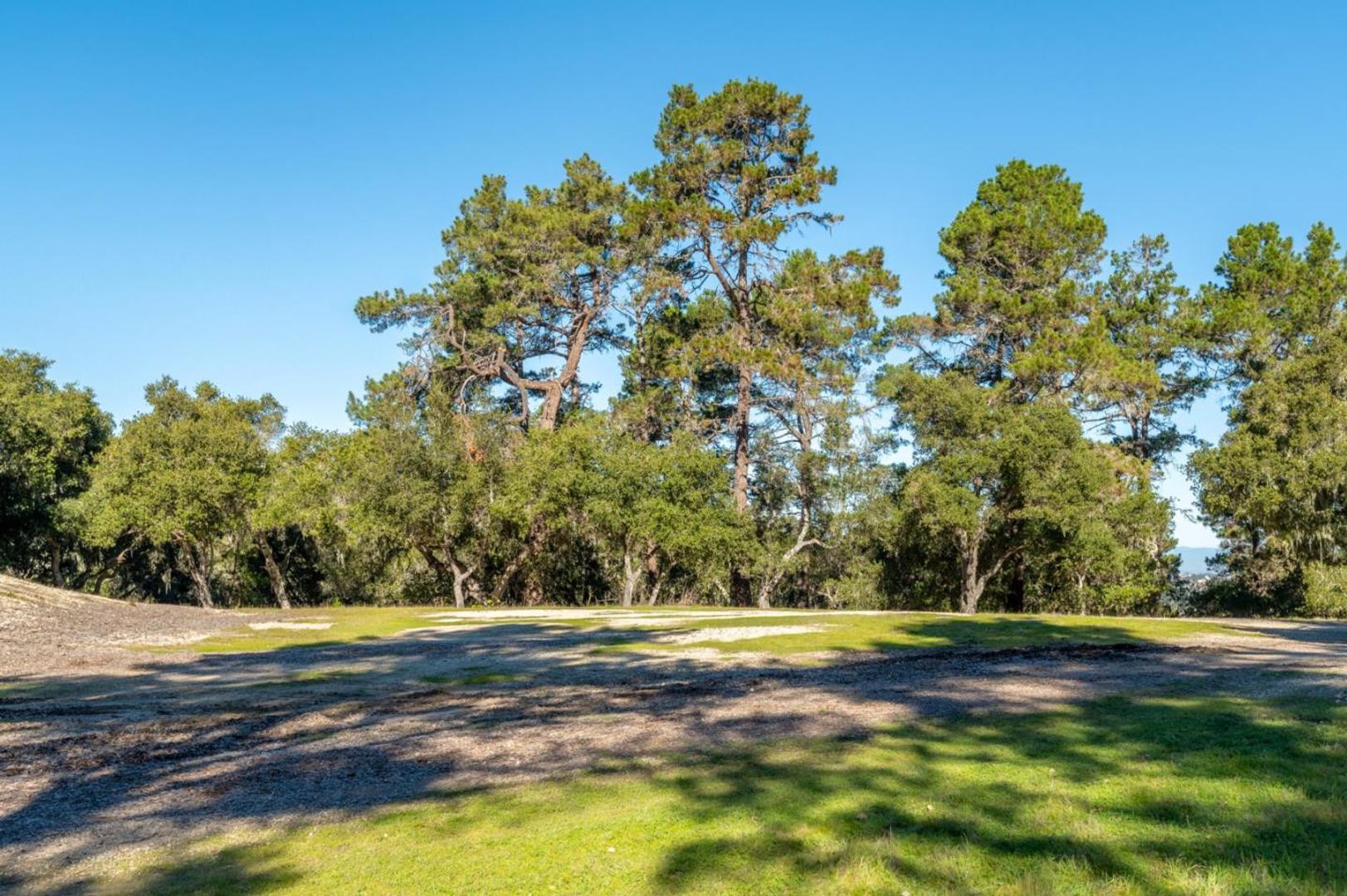 7755 Paseo Venado (Lot 84) photo #6