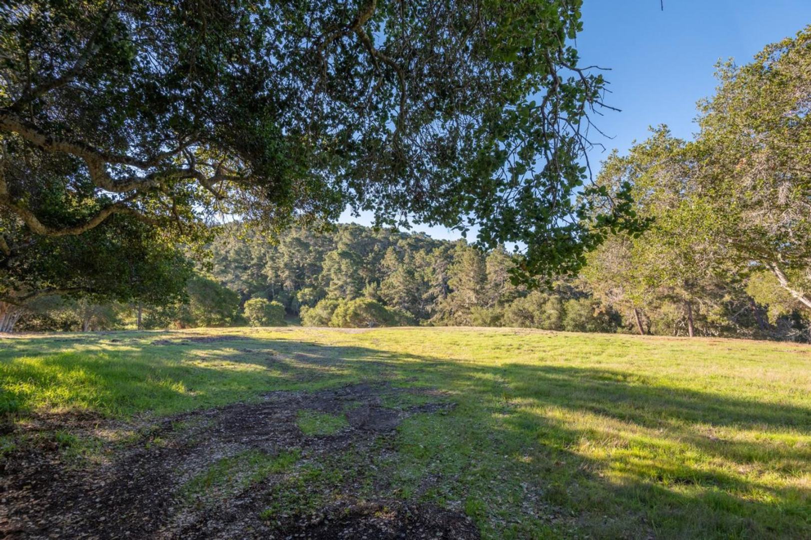 7765 Paseo Venado (Lot 85) photo #3