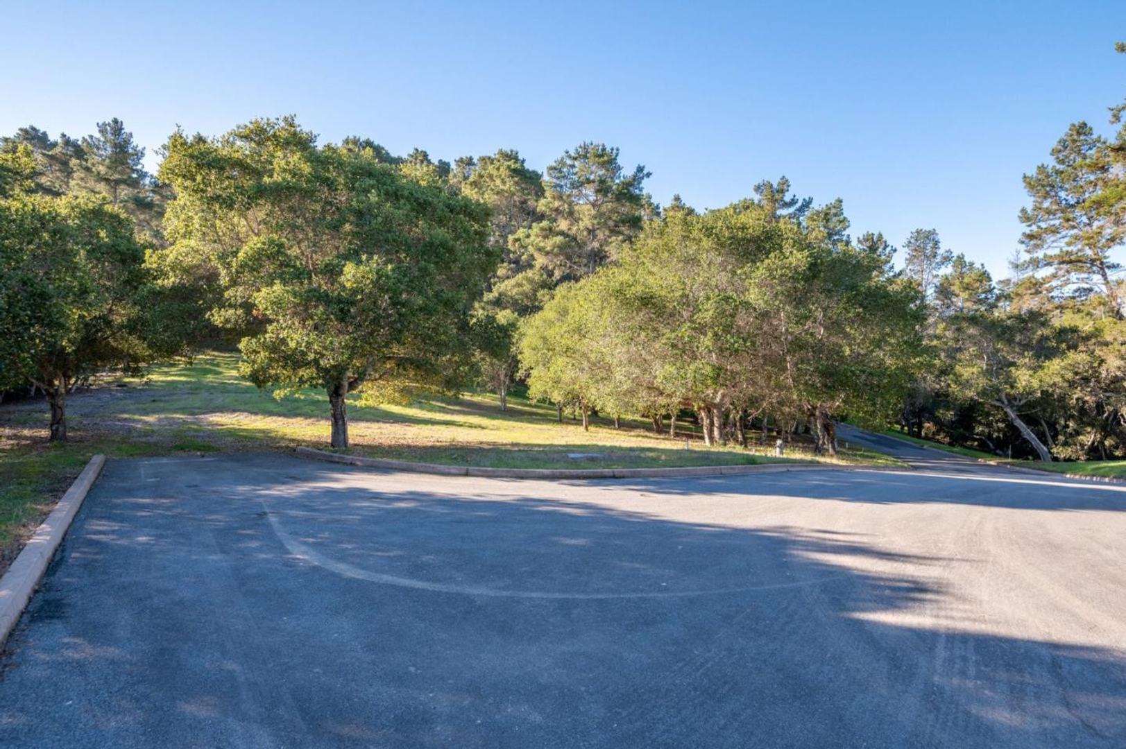 7760 Paseo Venado (Lot 86) photo #1