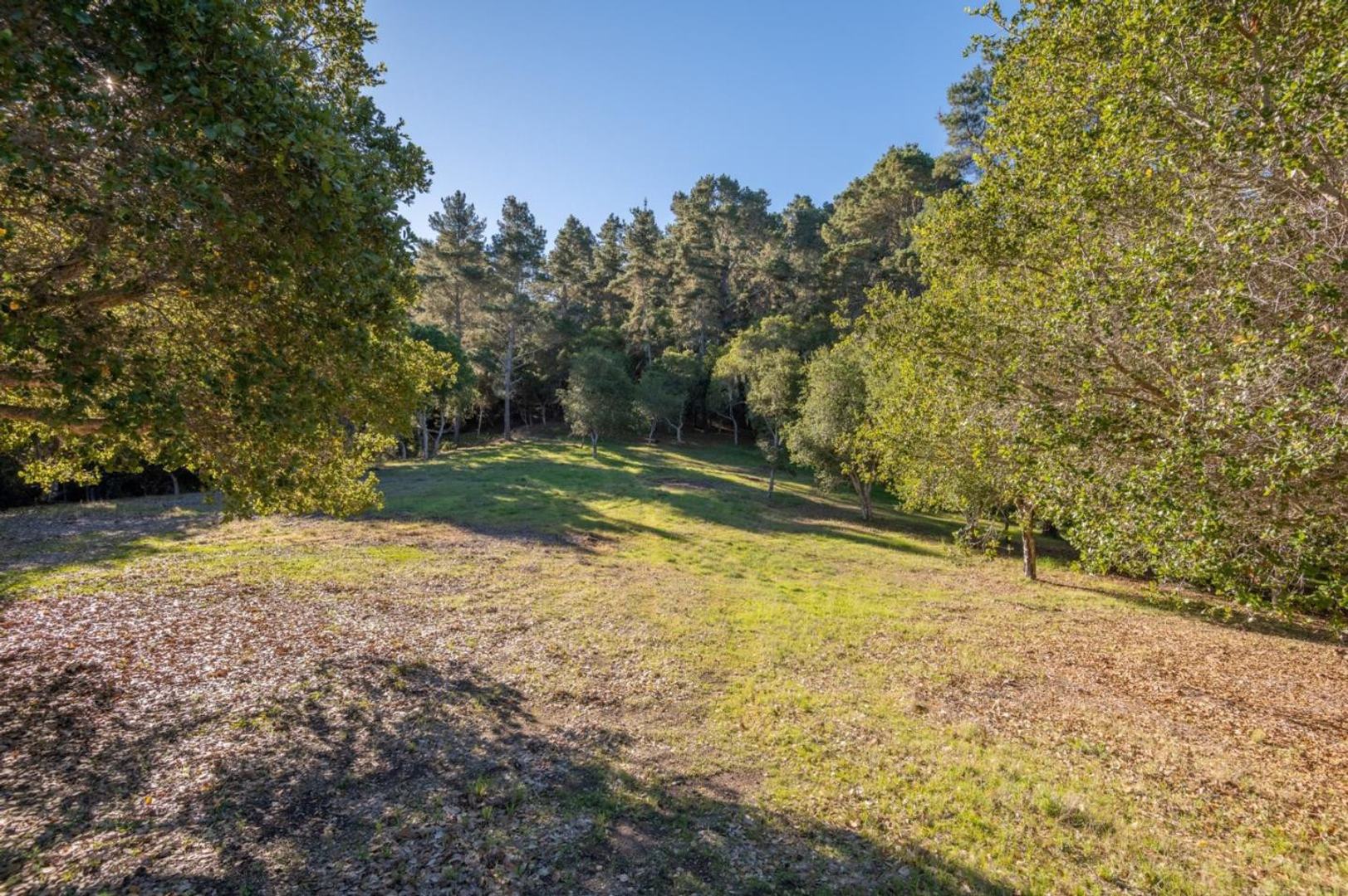 7760 Paseo Venado (Lot 86) photo #2