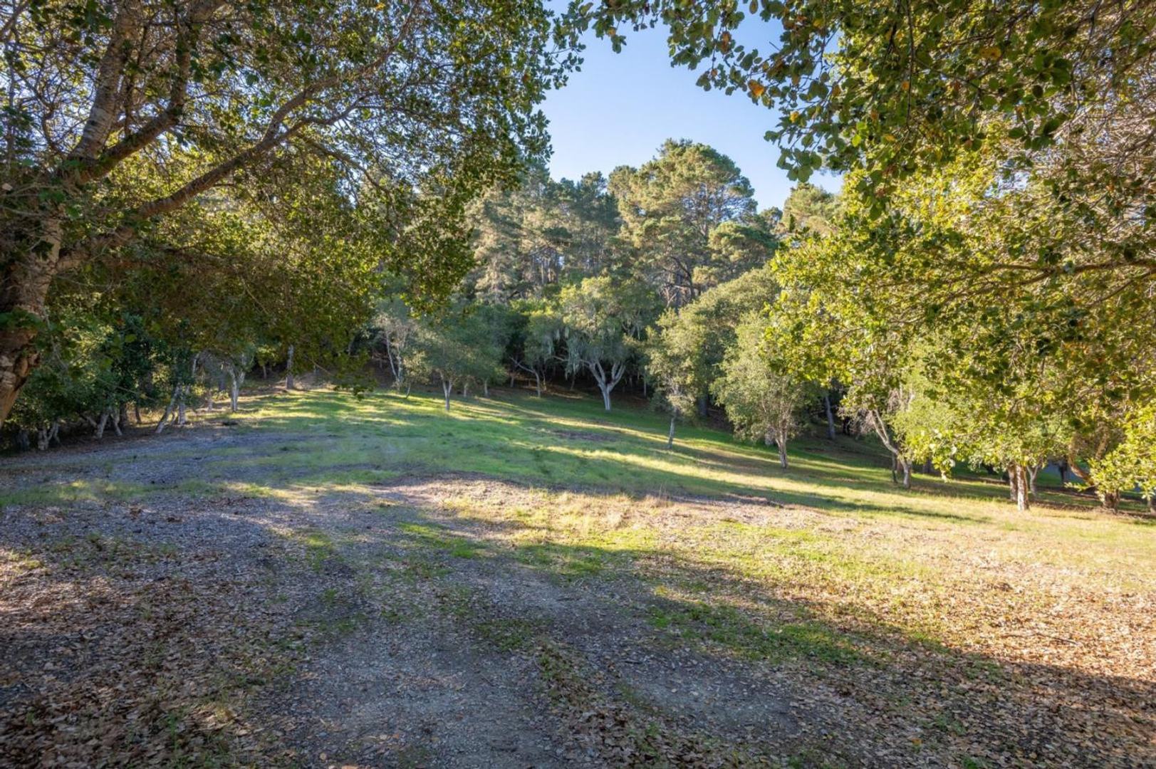 7760 Paseo Venado (Lot 86) photo #3