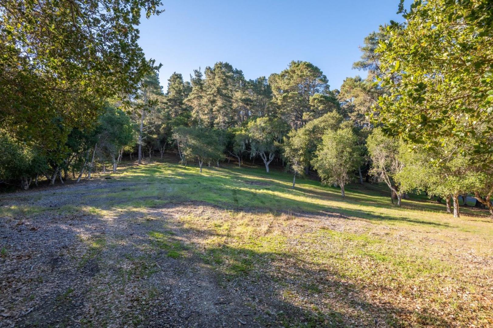 7760 Paseo Venado (Lot 86) photo #4