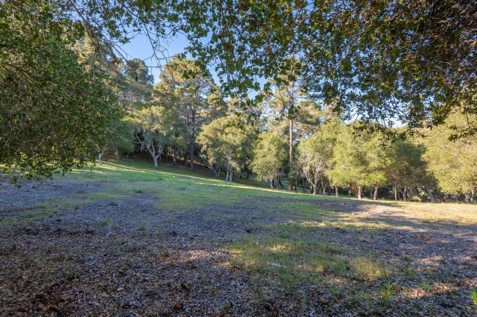 7760 Paseo Venado (Lot 86) photo #5