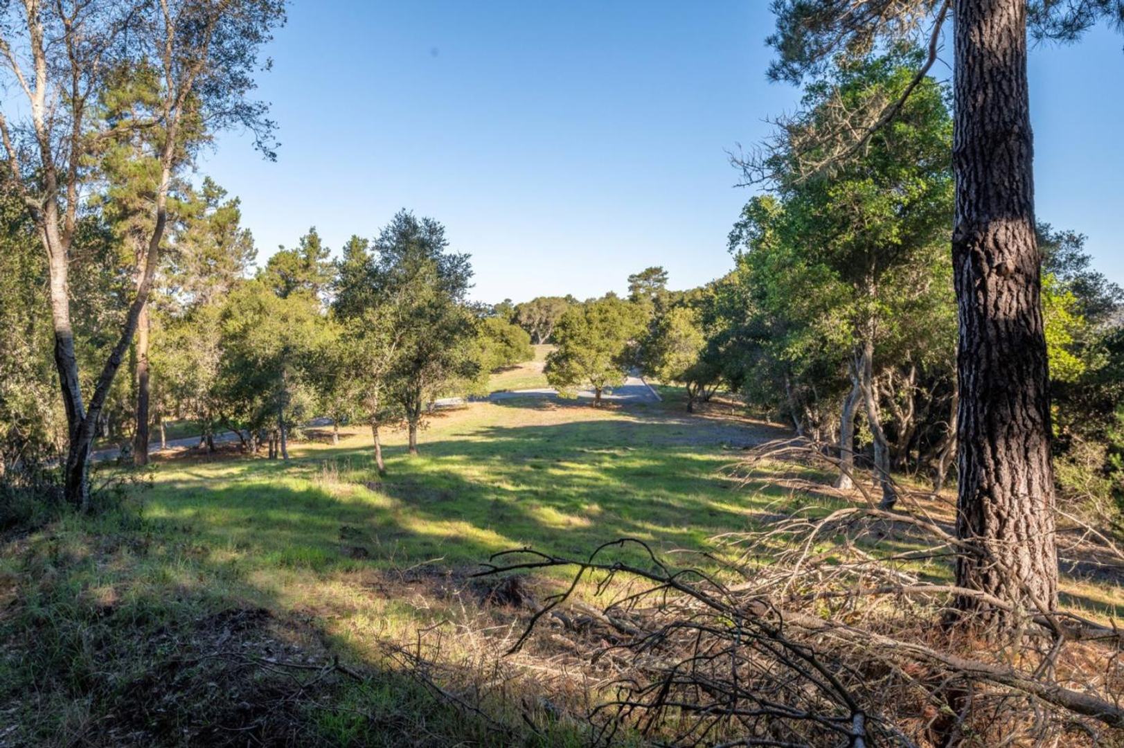 7760 Paseo Venado (Lot 86) photo #6