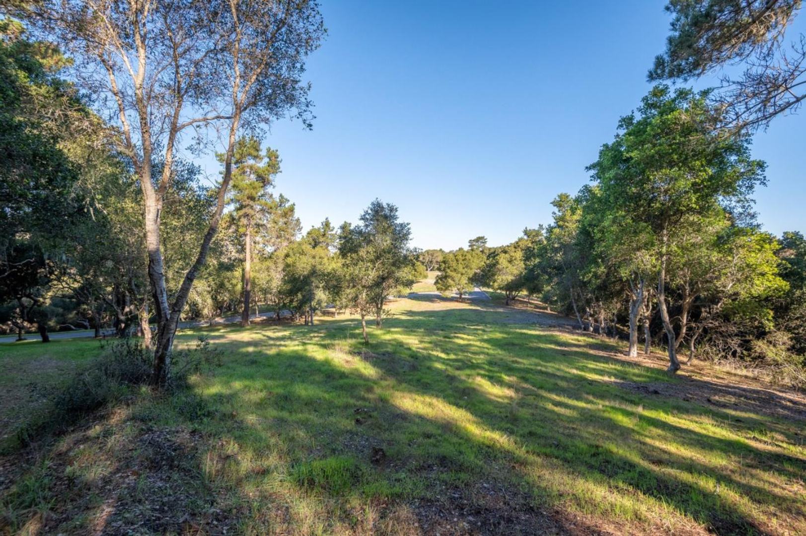 7760 Paseo Venado (Lot 86) photo #7
