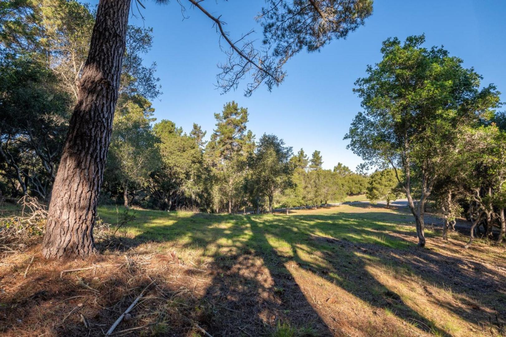 7760 Paseo Venado (Lot 86) photo #8