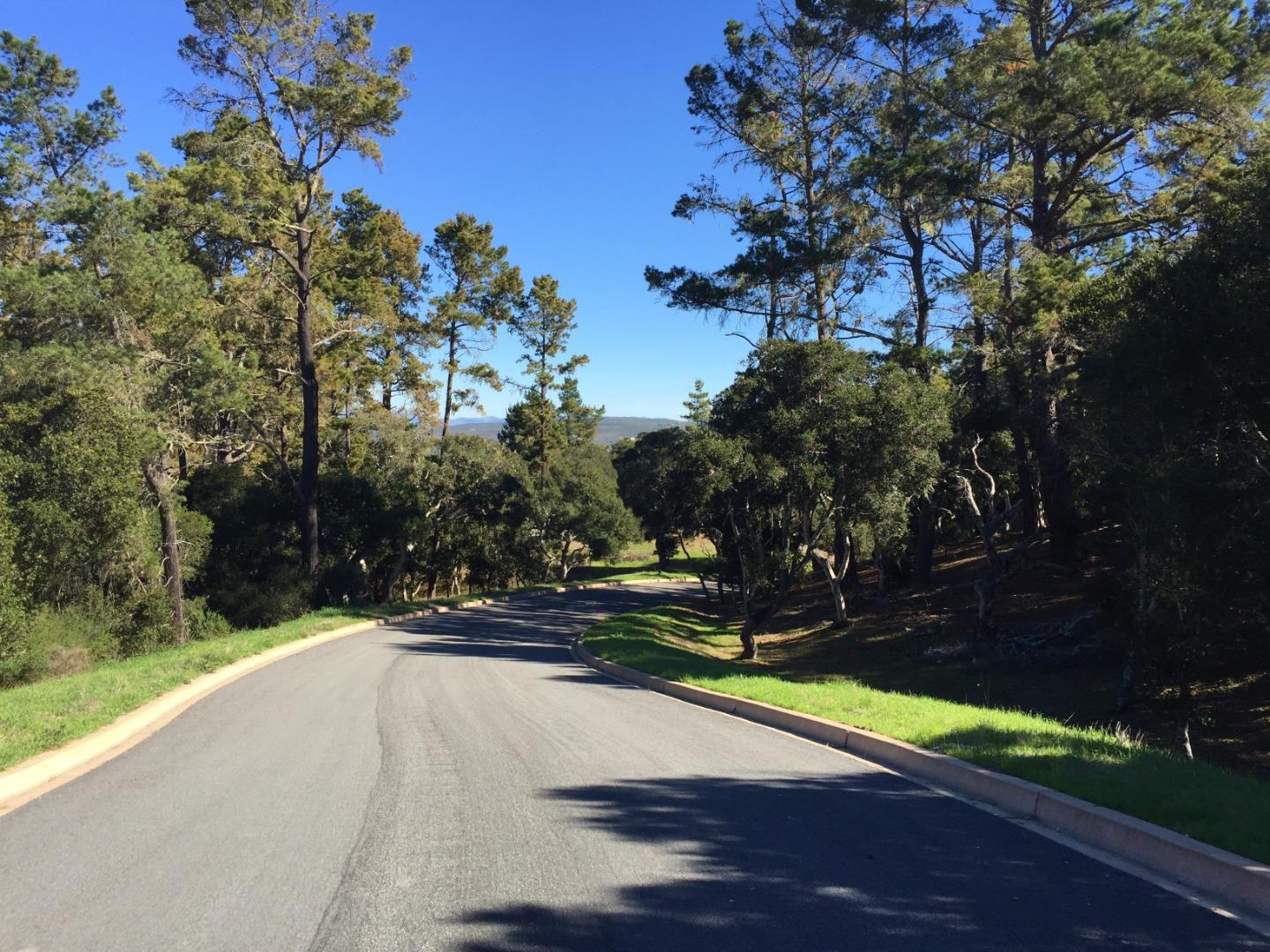 Paseo Venado (Lot 116) photo #1