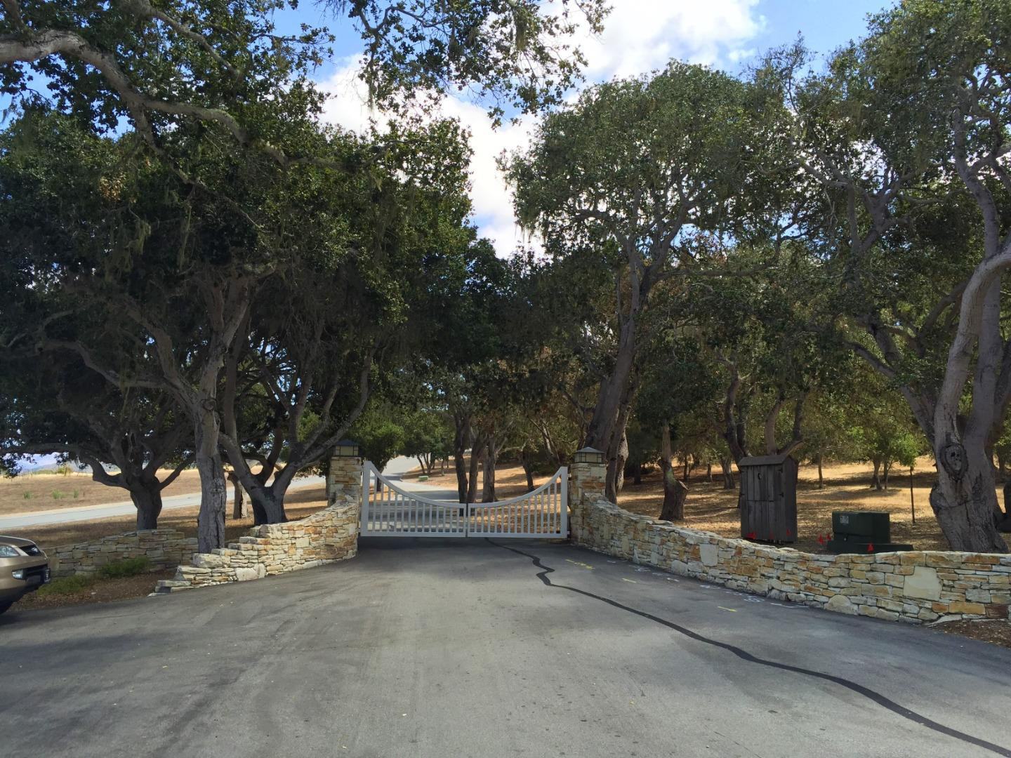 Paseo Venado (Lot 116) photo #9