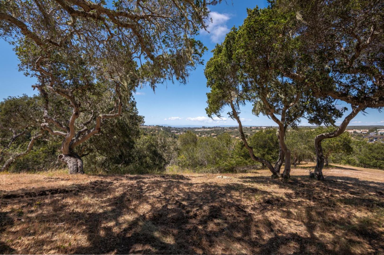 8160 Manjares (Lot 136) photo #1