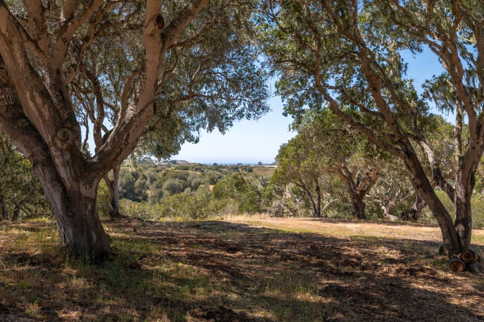 8160 Manjares (Lot 136) photo #3