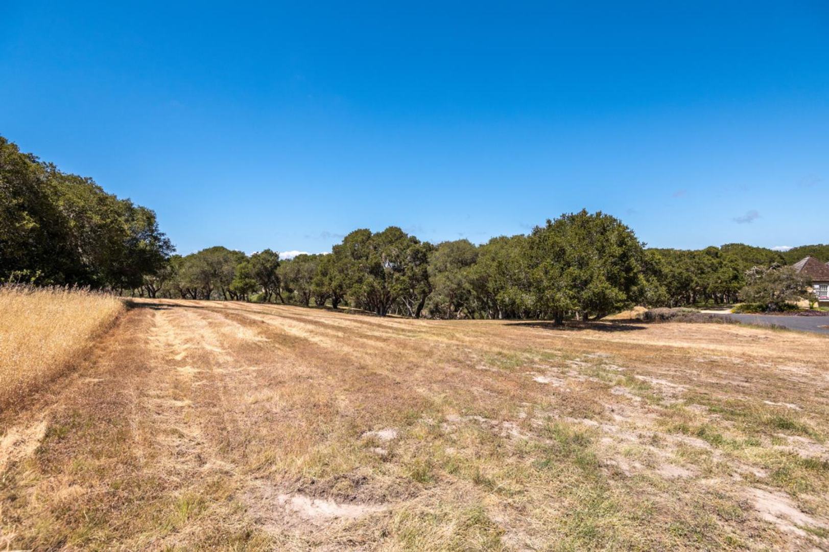 8160 Manjares (Lot 136) photo #4