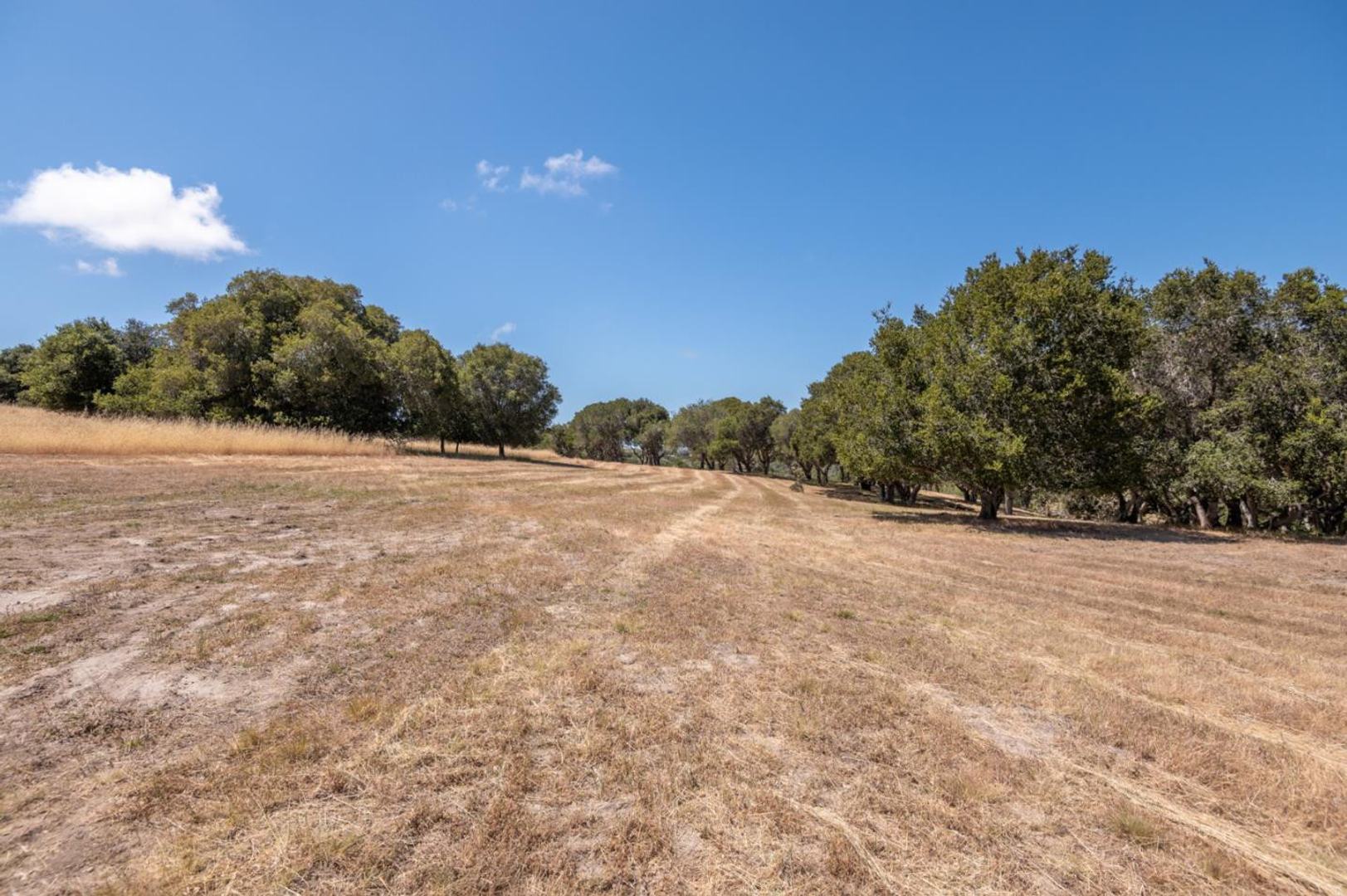 8160 Manjares (Lot 136) photo #5