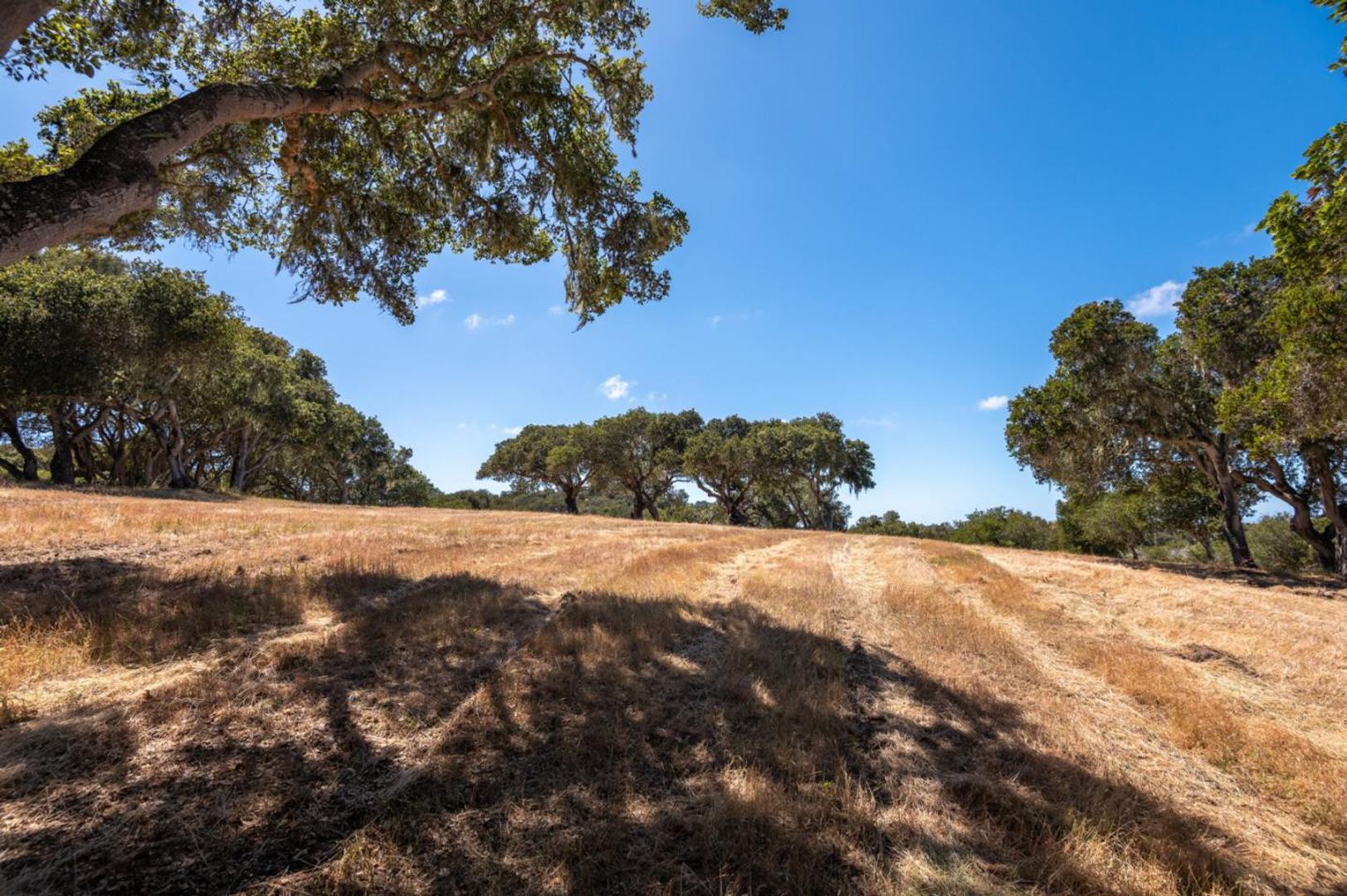 8160 Manjares (Lot 136) photo #7