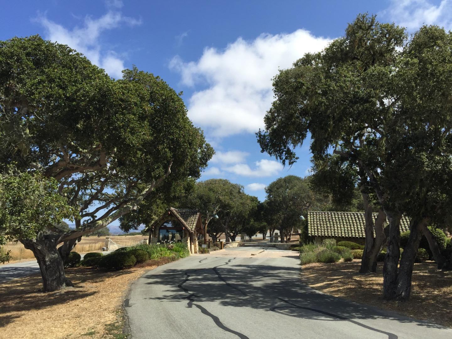 8160 Manjares (Lot 136) photo #17