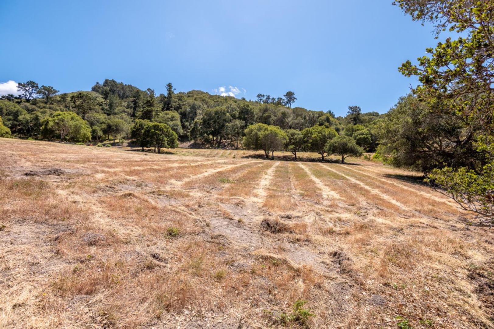 8130 Manjares (Lot 126) photo #3