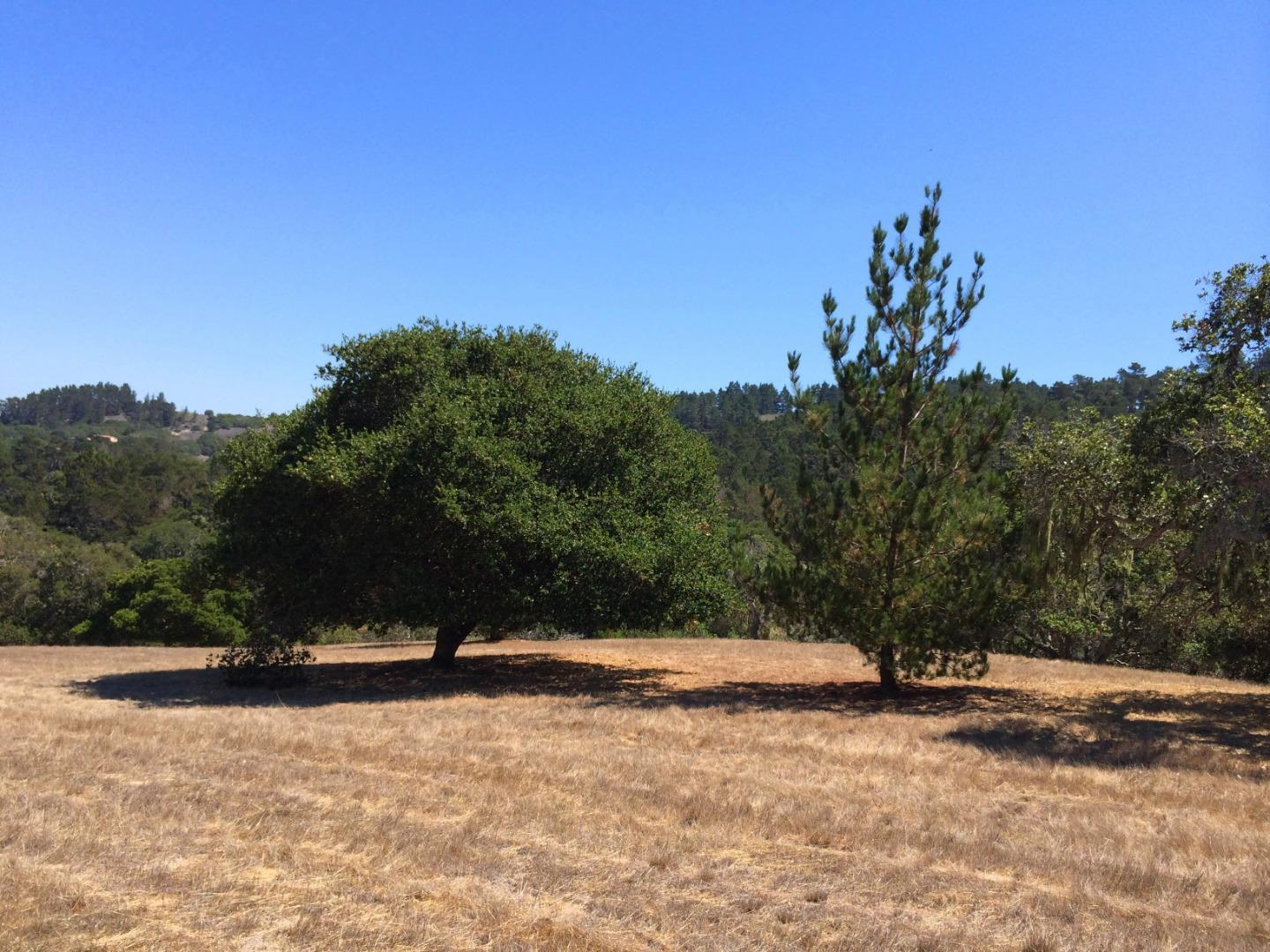 7552 Monterra Ranch Road (Lot 57) photo #1
