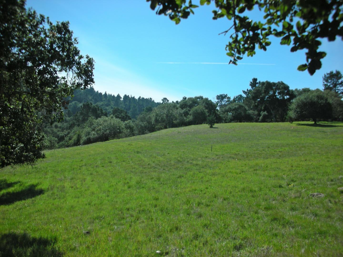 7552 Monterra Ranch Road (Lot 57) photo #4