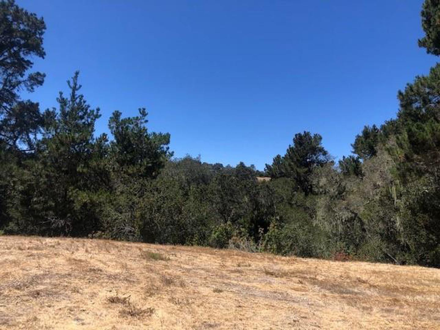 7735 Paseo Venado (Lot 82) photo #1