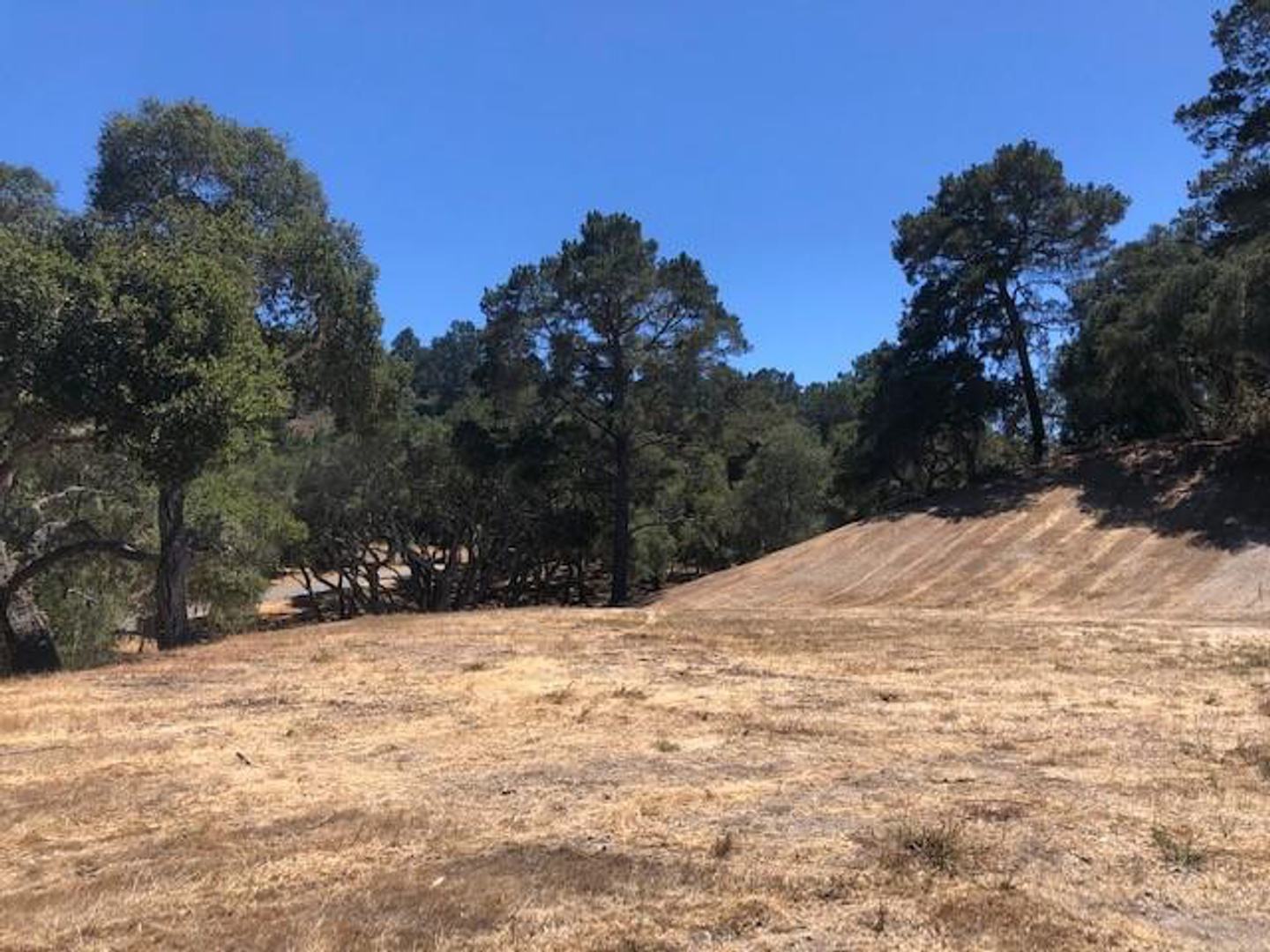 7735 Paseo Venado (Lot 82) photo #2