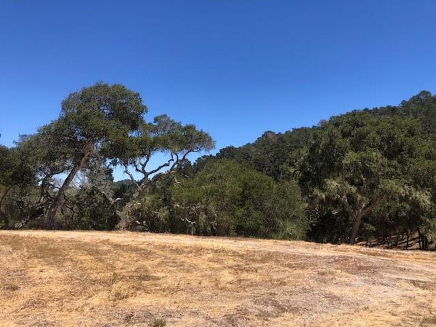 7735 Paseo Venado (Lot 82) photo #3