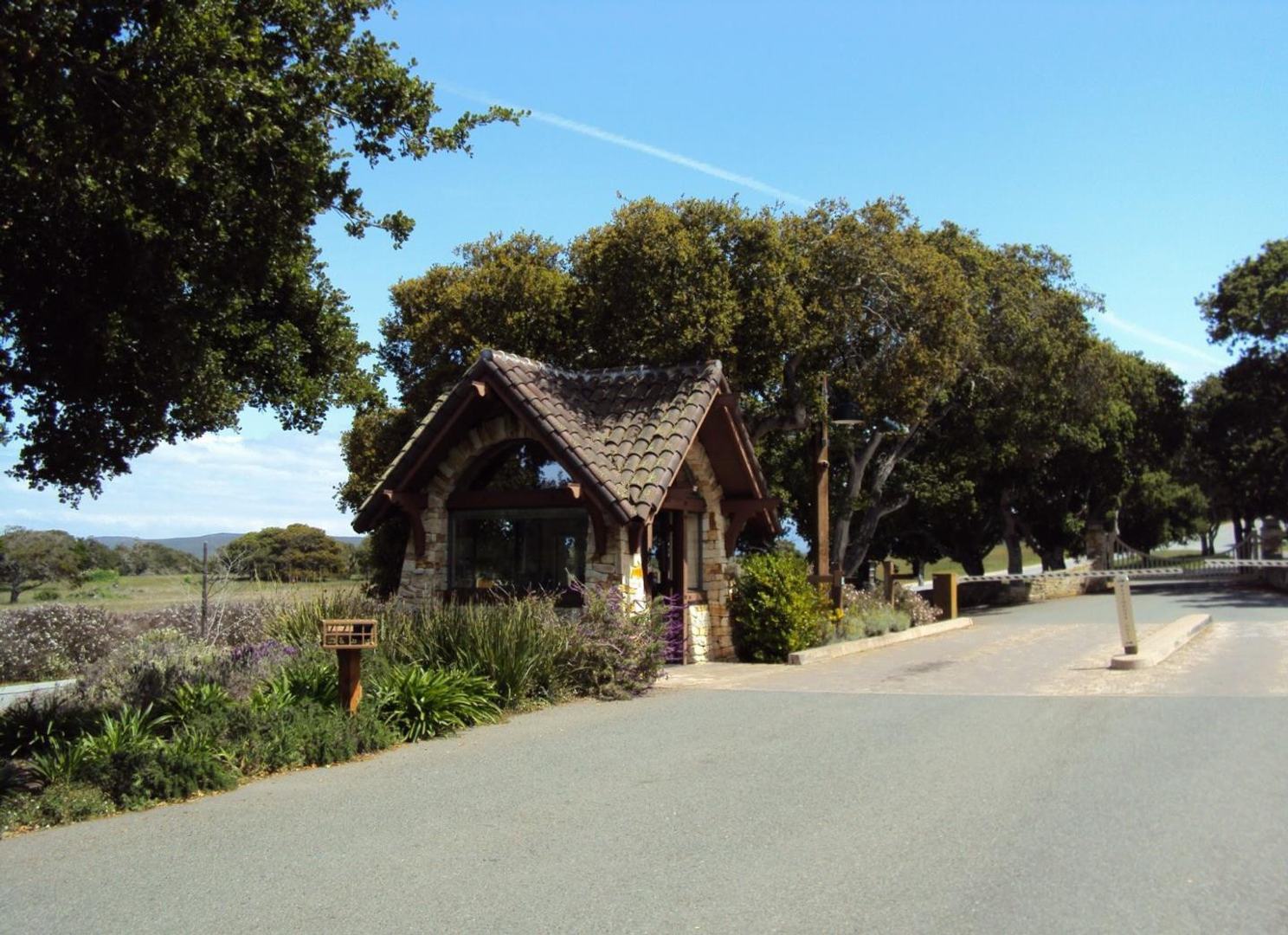 7735 Paseo Venado (Lot 82) photo #8