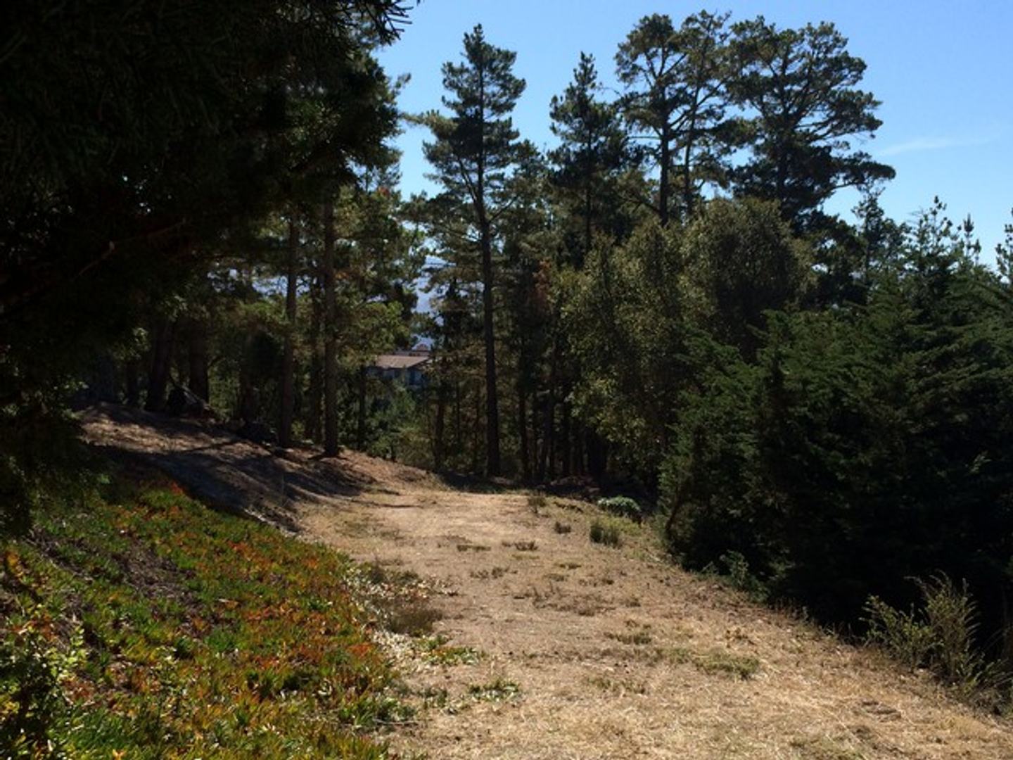 7 Acres - 3940 Via Mar Monte photo #2